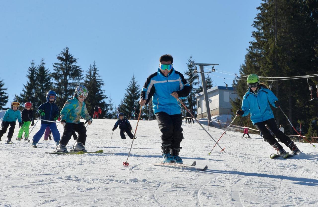Zlatarske Brvnare Zlatar Chalets Нова-Варош Экстерьер фото