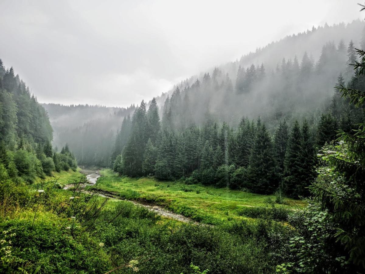 Zlatarske Brvnare Zlatar Chalets Нова-Варош Экстерьер фото