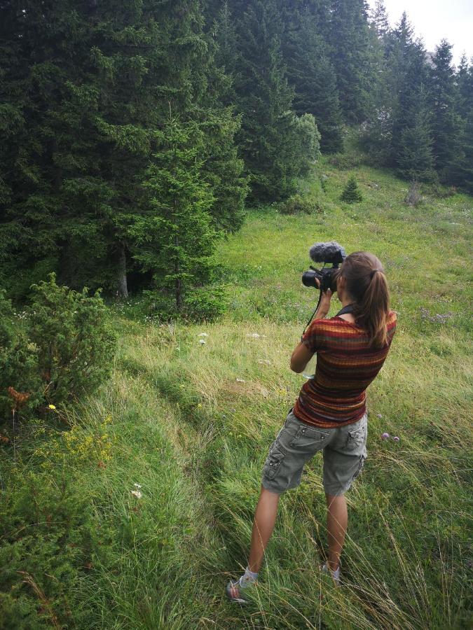Zlatarske Brvnare Zlatar Chalets Нова-Варош Экстерьер фото