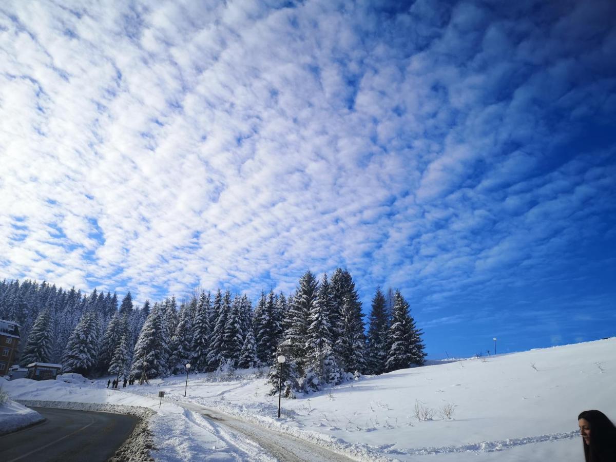 Zlatarske Brvnare Zlatar Chalets Нова-Варош Экстерьер фото
