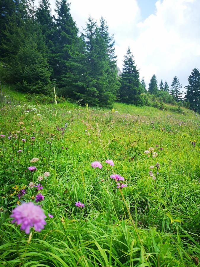 Zlatarske Brvnare Zlatar Chalets Нова-Варош Экстерьер фото